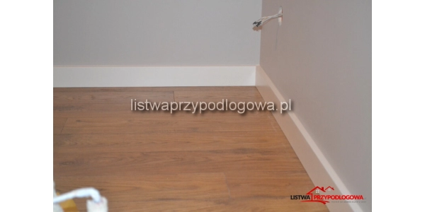Lagrus classic R1 wilgocioodporna