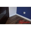 Wilgociodporna Classic R10 Lagrus