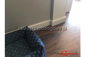 Listwa Lagrus Linea 100