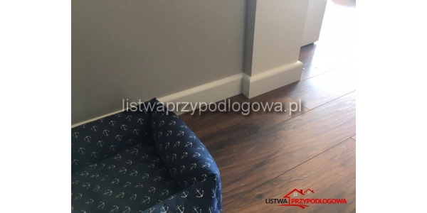 Lagrus listwa Linea 100