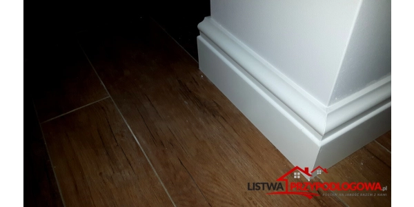 Listwa Olimp120