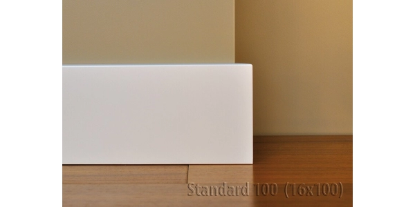 Listwa Standard 100