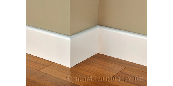 Listwa Standard 100 R10