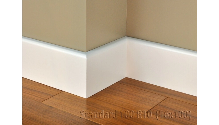 Listwa Standard 100 R10