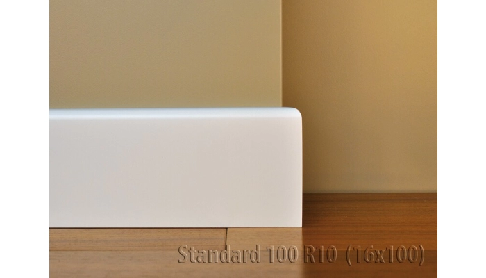Listwa Standard 100 R10