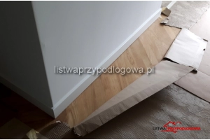 Listwa Lagrus Standard 100 R5