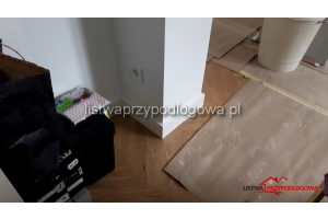 Listwa Lagrus Standard 100 R5