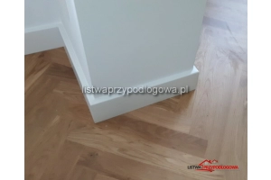 Listwa Lagrus Standard 100 R5