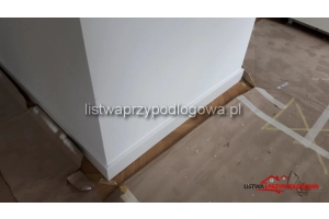 Listwa Lagrus Standard 100 R5