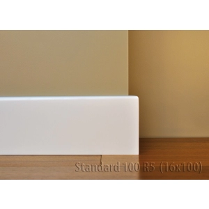 Listwa Standard 100 R5