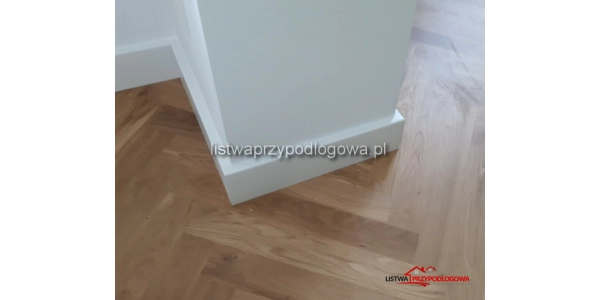 Listwa Lagrus Standard 100 R5