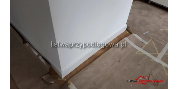 Listwa Lagrus Standard 100 R5