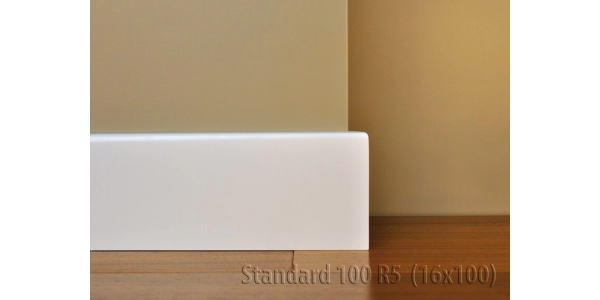 Listwa Standard 100 R5