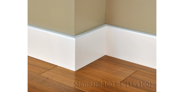 Listwa Standard 100 R5