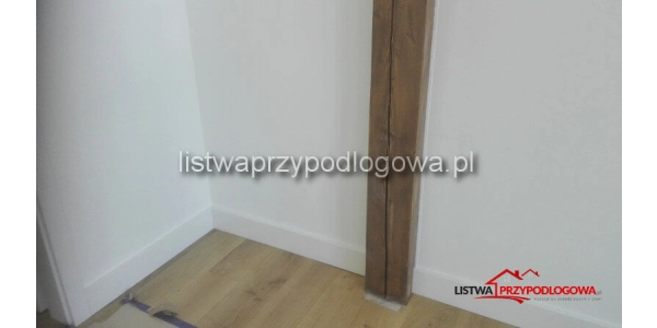 Lagrus Standard 120