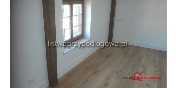 Lagrus Standard 120