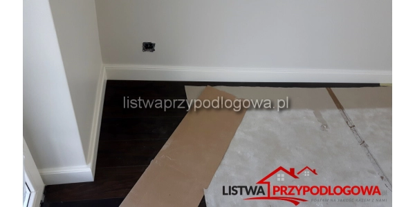Lagrus Talia 100
